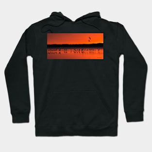 Sunset panorama Hoodie